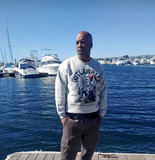 "Puffn on La" Streetwear Unisex Solid Color Fleece Pullover